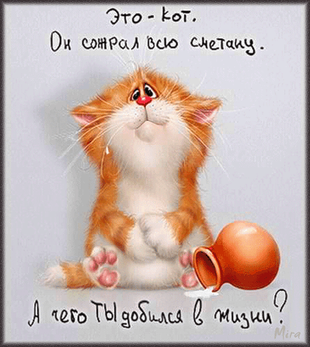 Сметанный кот - Поздравительные открытки на все случаи жизни! - Bagima